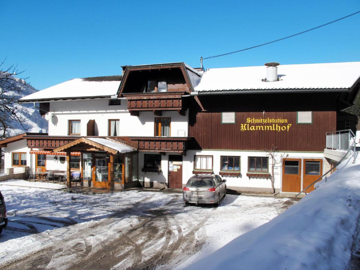 Apartment Klammlhof-4 By Interhome Zell am Ziller Eksteriør billede